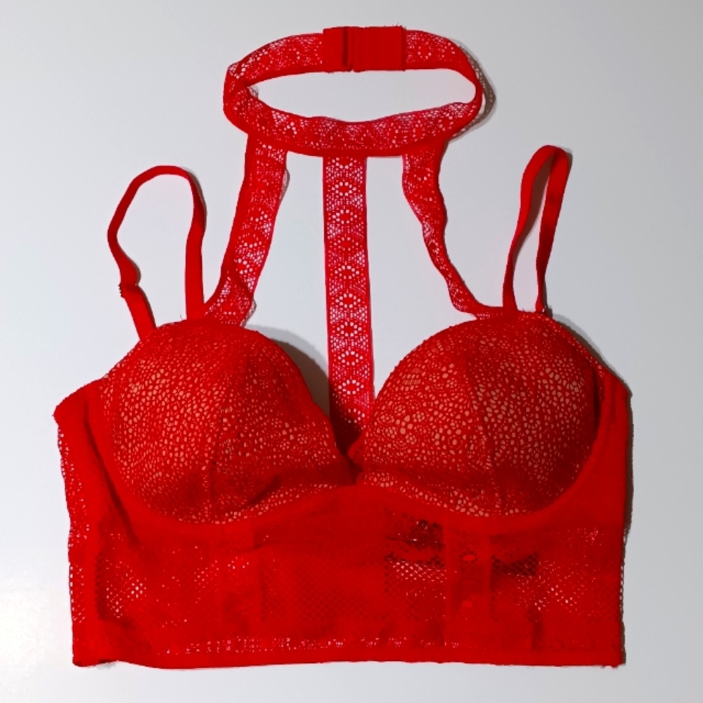 Ruby Red Long Line Lace Choker Bralette